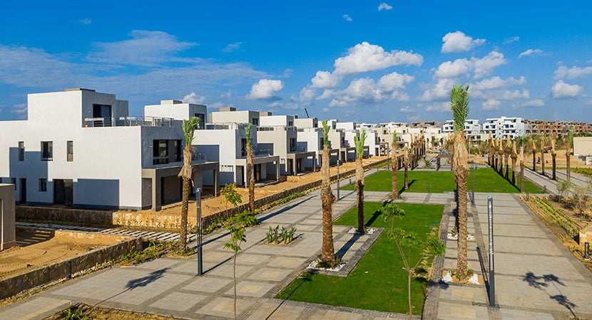 Palm Hills Alexandria cover